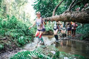 BIB: 
                            <button type="button" onclick="openModal(25477637)" class="btn btn-primary btn-sm float-right btn-popup" data-toggle="modal" data-target=".modal-high-quality">
                        <i class="fas fa-shopping-cart"></i> Add to Cart
                    </button>
                                            <button type="button" onclick="isThisMe(25477637, true)" class="btn btn-success btn-sm float-right btn-popup btn-isme hidden" data-toggle="tooltip" data-placement="bottom" title="นี่คือรูปของคุณใช่ไหม คลิกที่นี่เพื่อเอาเข้าอัลบั้ม">
                        <i class="fas fa-plus"></i> Add to album
                    </button>
                    <button type="button" onclick="isThisMe(25477637, false)" class="btn btn-warning btn-sm float-right btn-popup btn-isnotme hidden">
                        <i class="fas fa-ban"></i> Remove from album
                    </button>